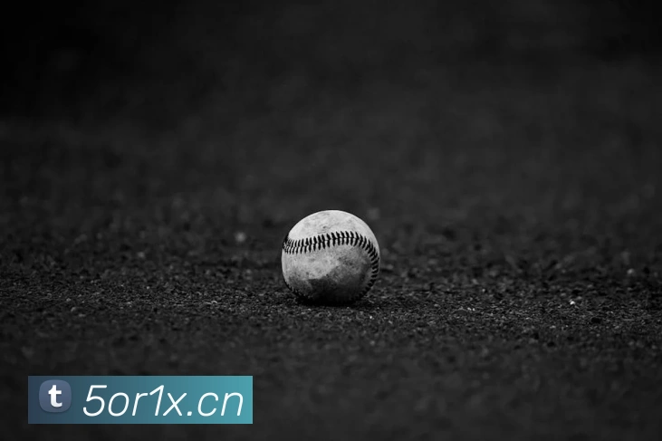 米兰官网入口发展历程